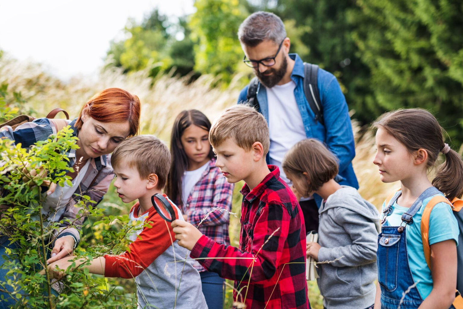 Group of school children with teacher on field trip in nature, learning science