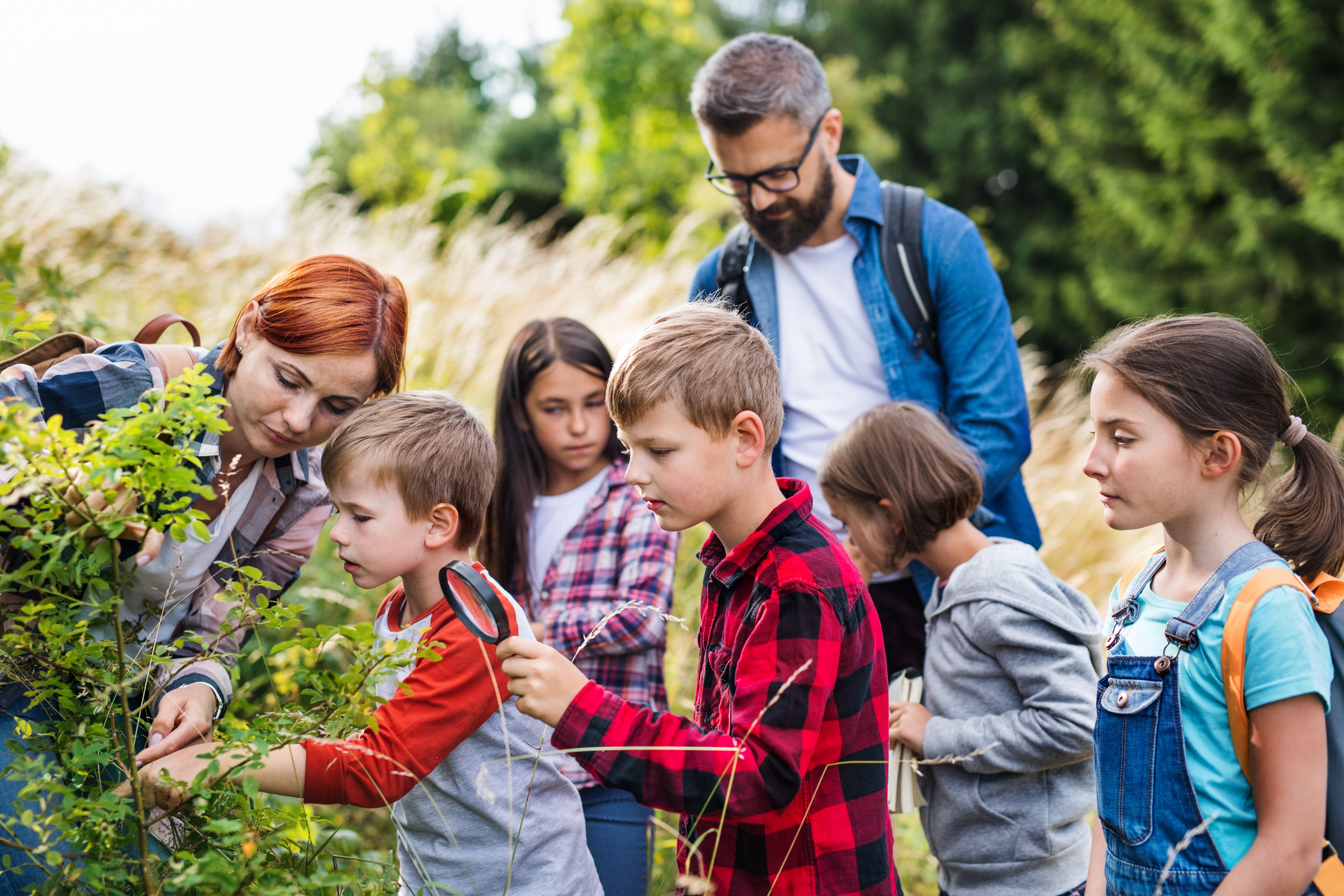 Group of school children with teacher on field trip in nature, learning science